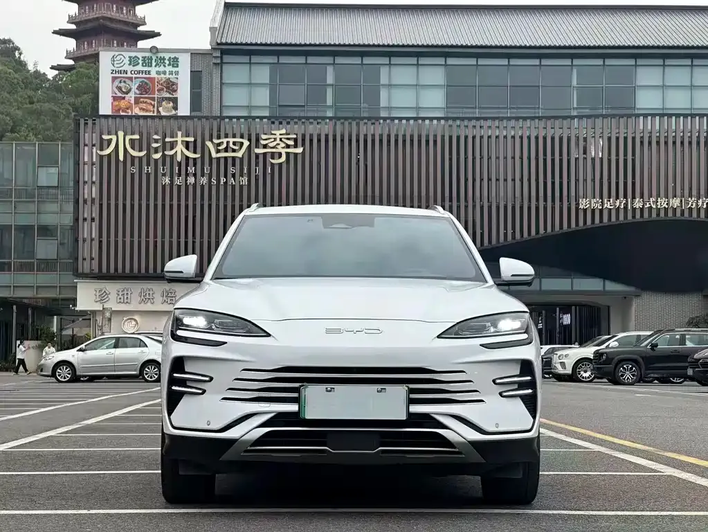 BYD PLUS New Energy — фото 3