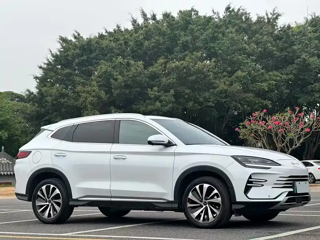 BYD PLUS New Energy — фото 7