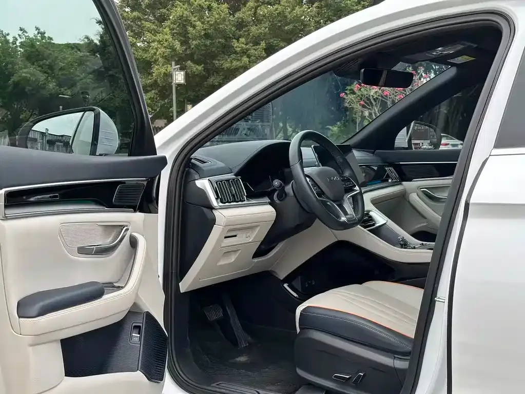 BYD PLUS New Energy — фото 6
