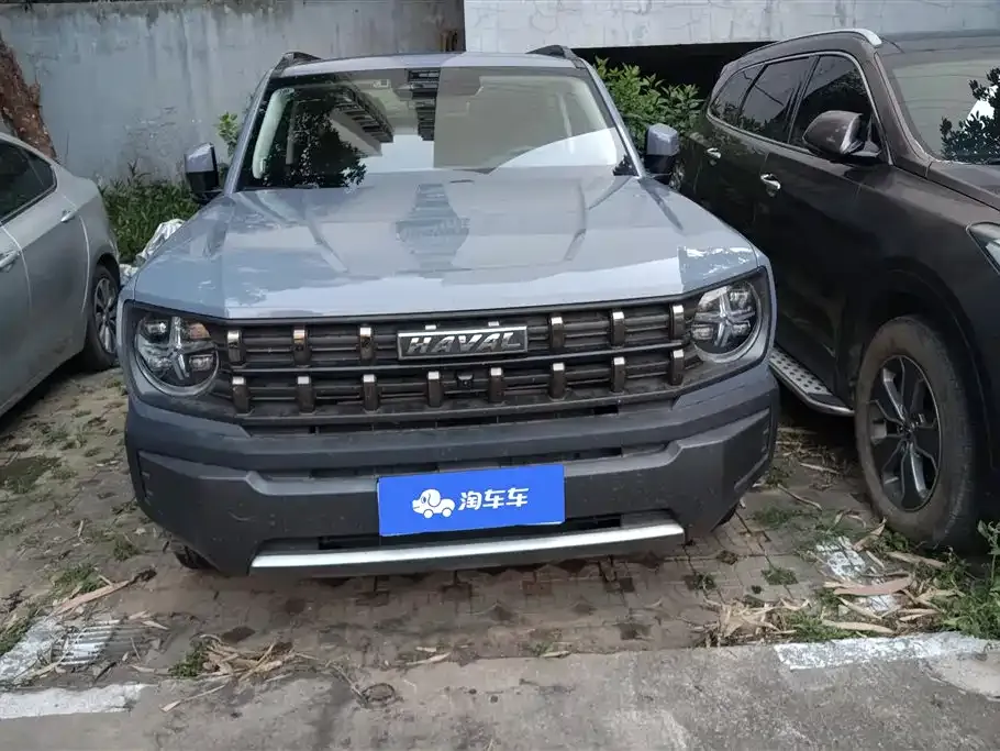 Haval Cool Dog 2022 из CN, фото 5