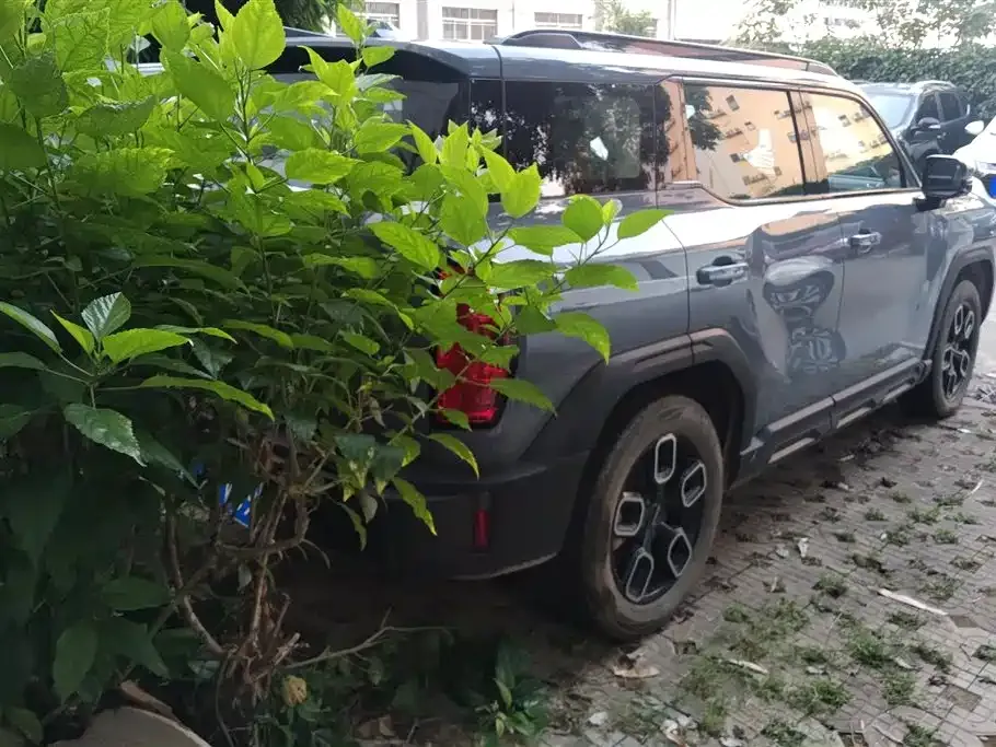 Haval Cool Dog 2022 из CN, фото 9