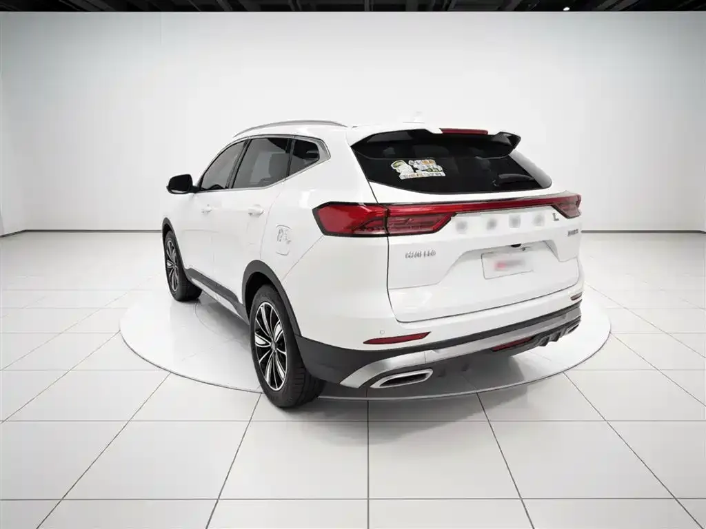 Haval H6 2024 из CN, фото 3