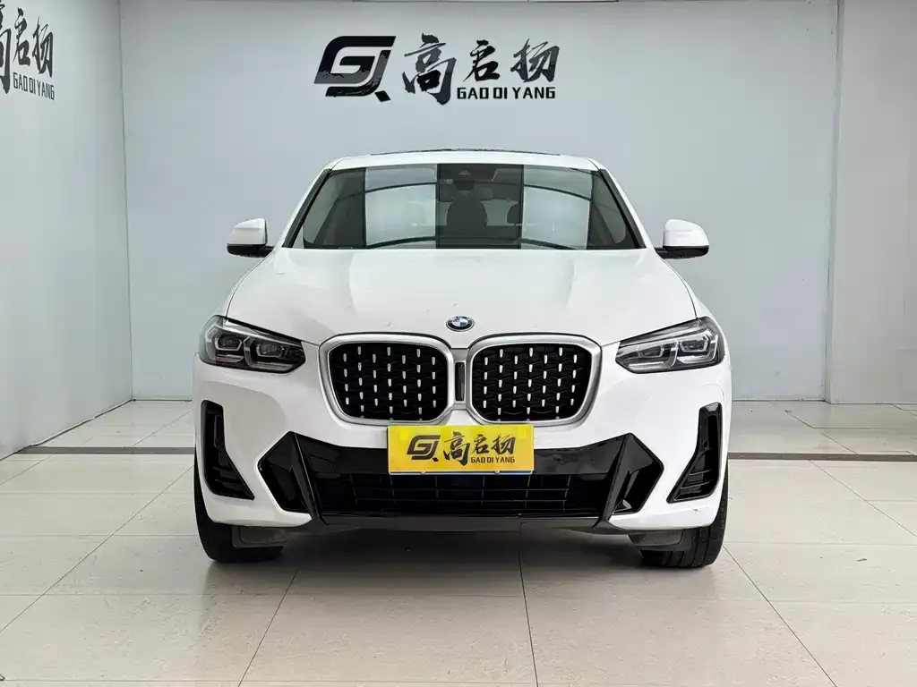 BMW X4 2022 из CN, фото 2