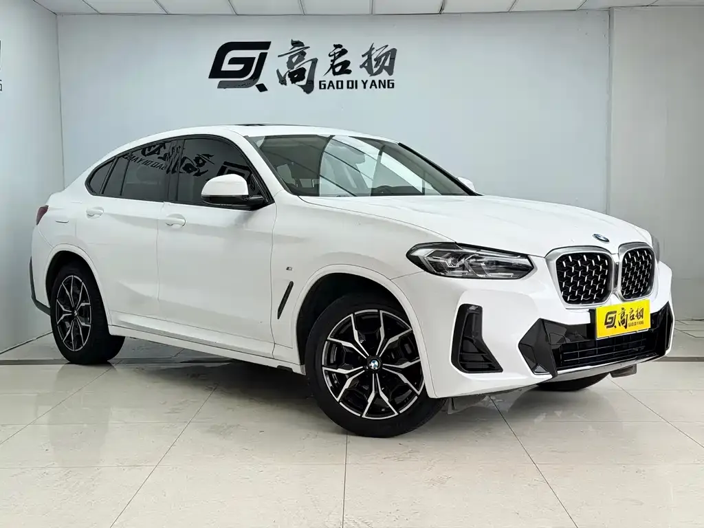 BMW X4 2022 из CN, фото 8