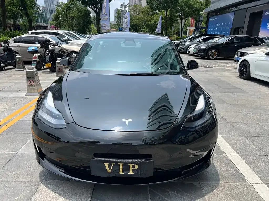 Tesla Model 3 2023 из CN, фото 9