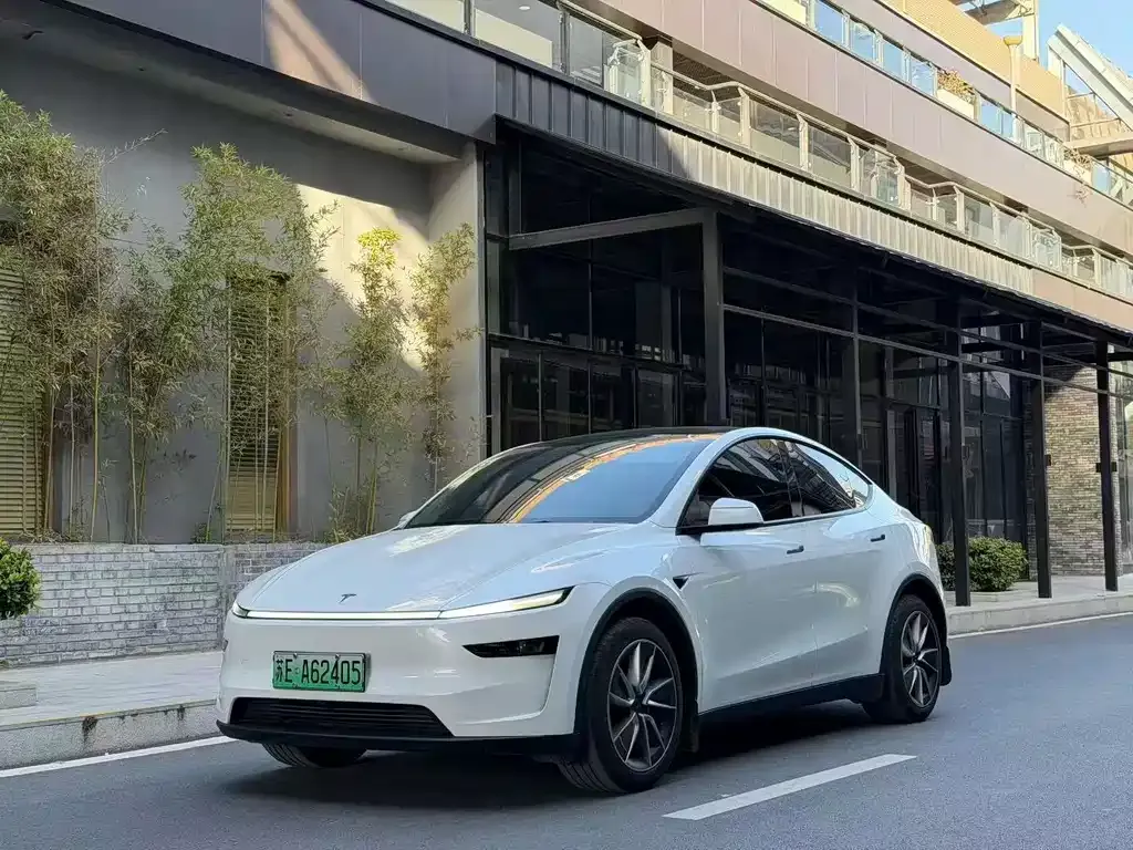 Tesla Model Y 2025 из CN, фото 1