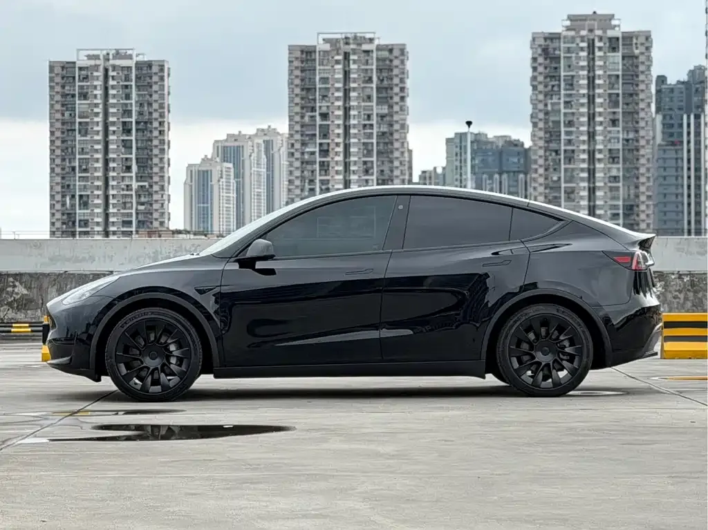 Tesla Model Y — фото 10