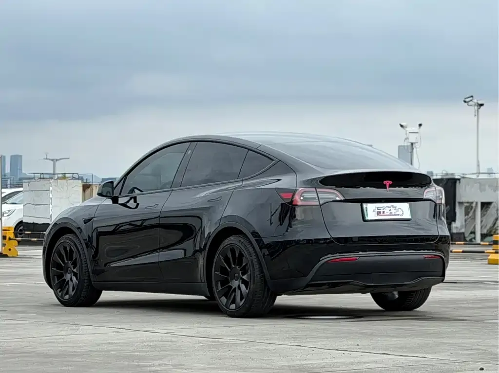 Tesla Model Y — фото 3