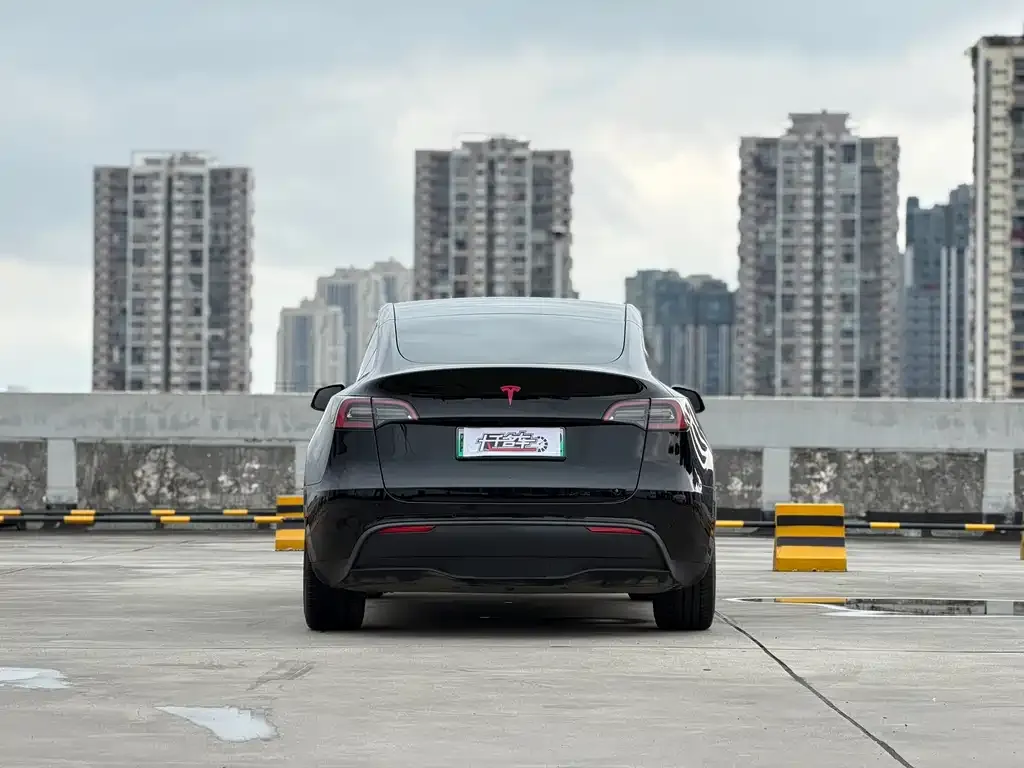 Tesla Model Y — фото 8
