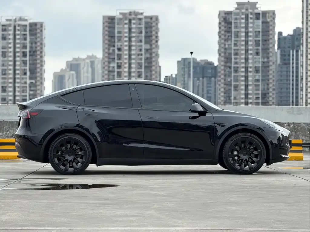 Tesla Model Y — фото 5