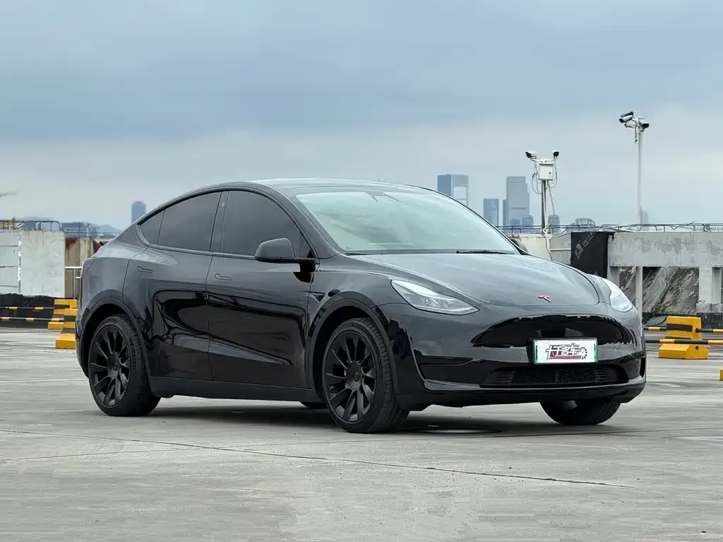 Tesla Model Y — фото 2