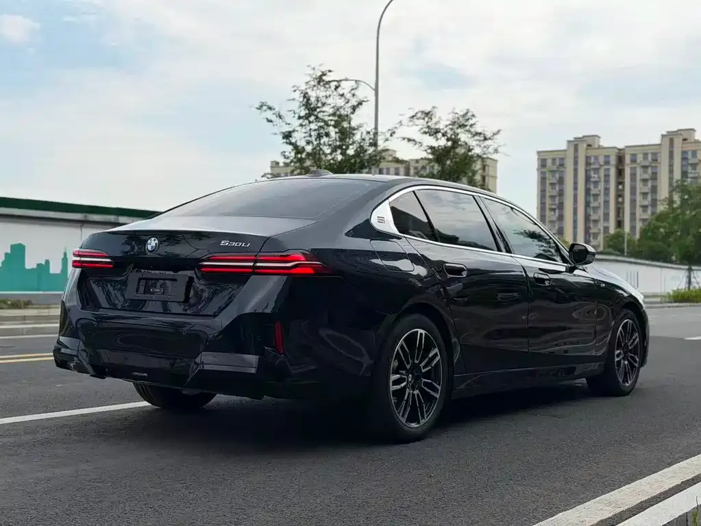 BMW 5 Series 2024 из CN, фото 6