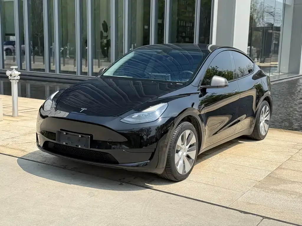 Tesla Model Y — фото 1