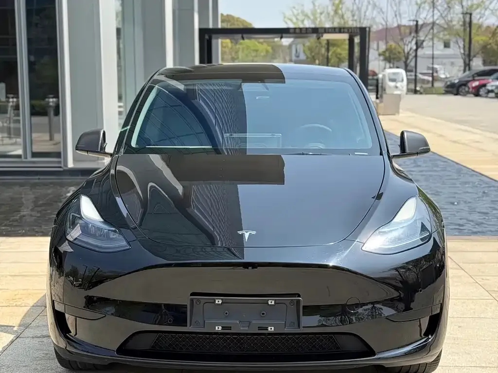 Tesla Model Y — фото 6