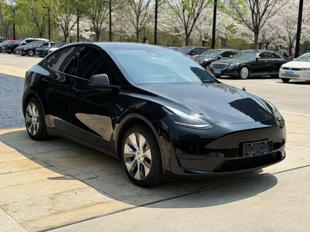 Tesla Model Y — фото 8