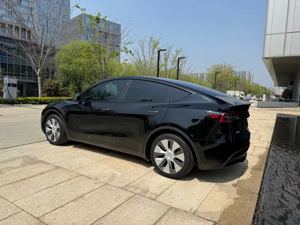 Tesla Model Y — фото 9
