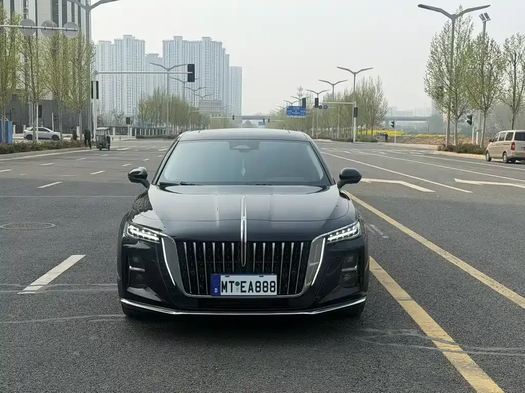 Hongqi H5 2025 из CN, фото 4