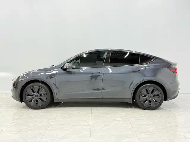 Tesla Model Y 2024 из CN, фото 5