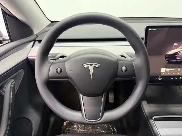 Tesla Model Y 2024 из CN, фото 9