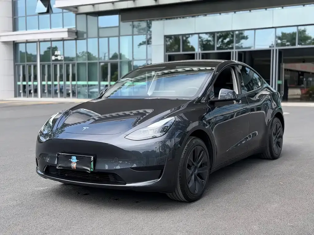 Tesla Model Y 2025 из CN, фото 1