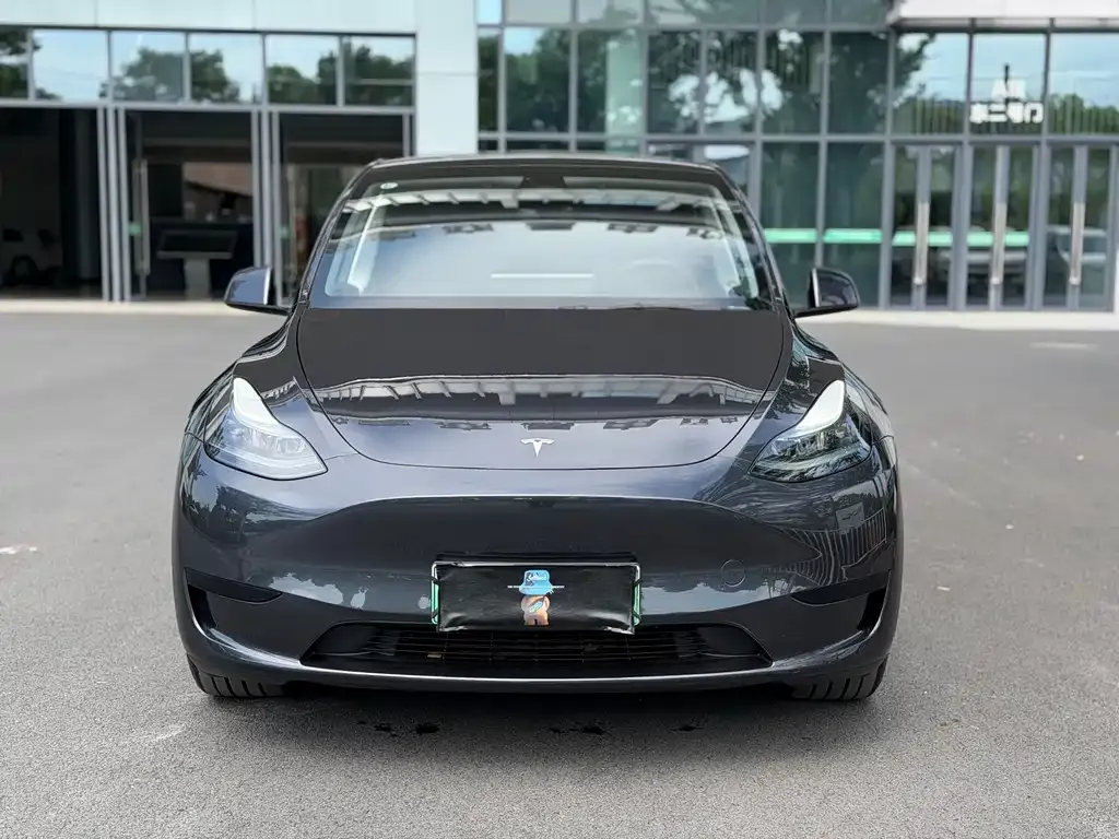 Tesla Model Y 2025 из CN, фото 3