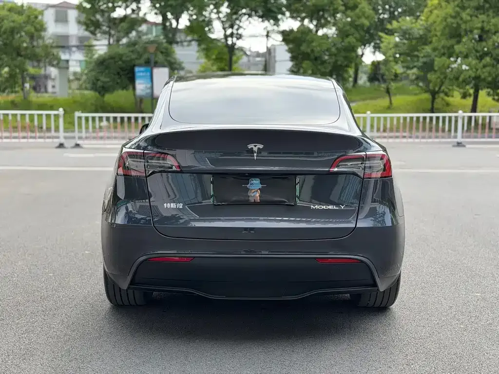 Tesla Model Y 2025 из CN, фото 5