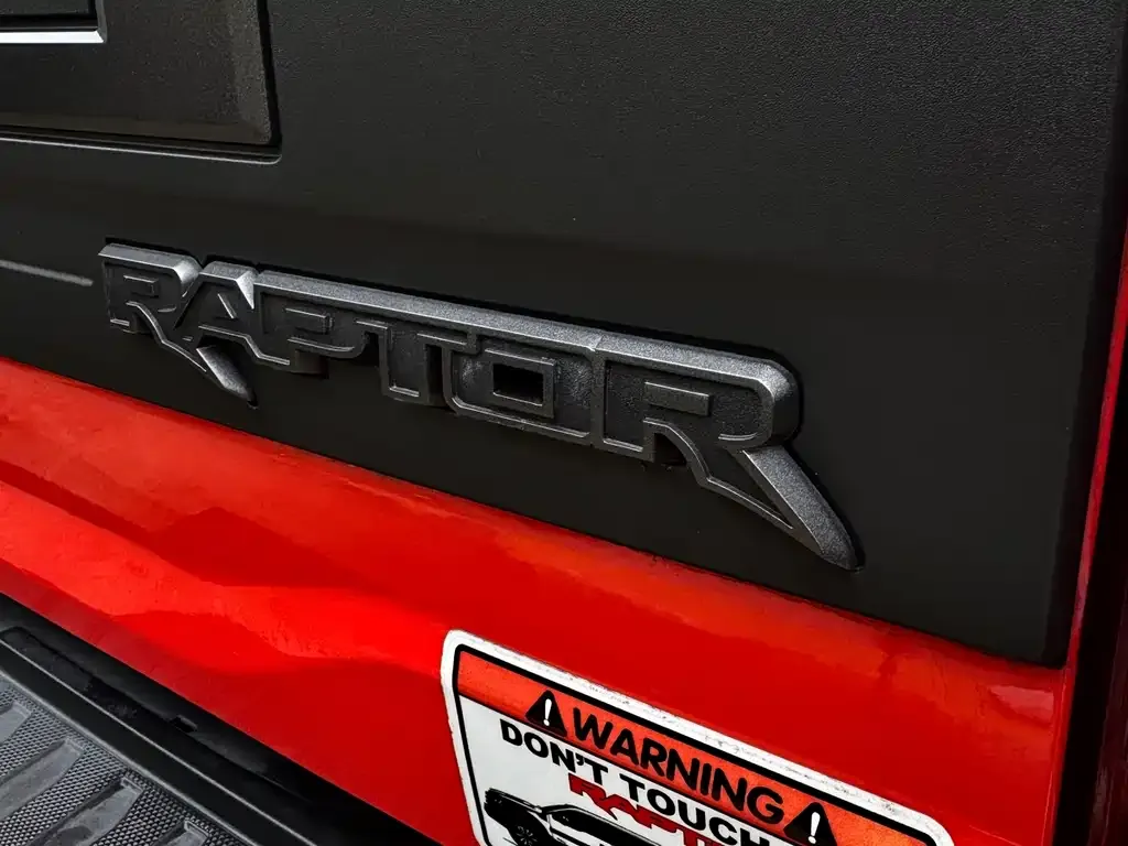 Ford F-150 Raptor 2023 из CN, фото 2