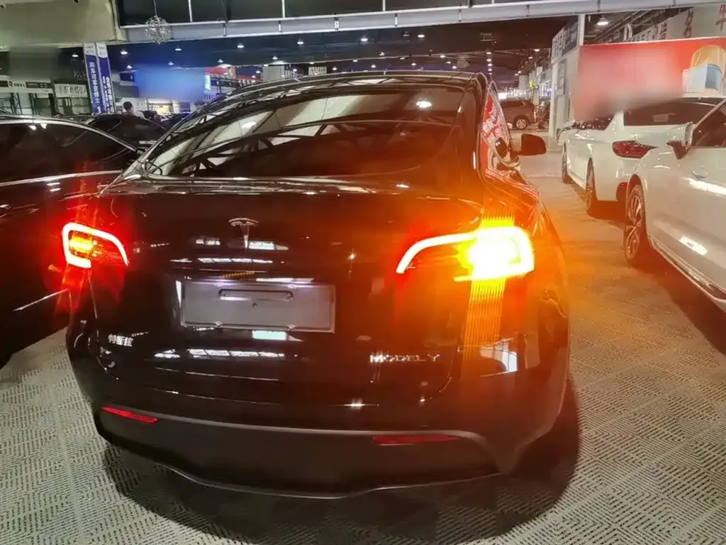 Tesla Model Y — фото 8