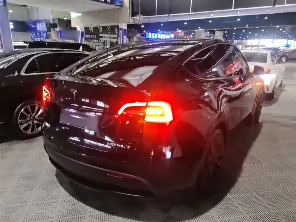 Tesla Model Y — фото 10