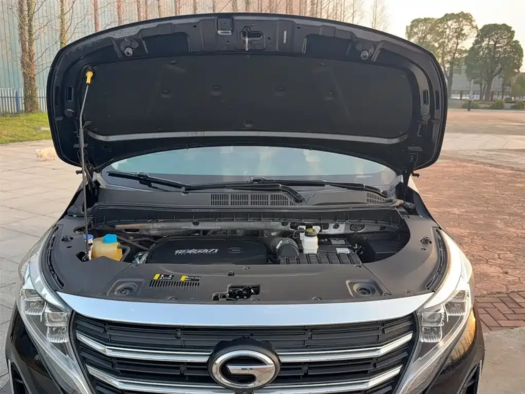 GAC Motor Trumpchi M8 2023 из CN, фото 4
