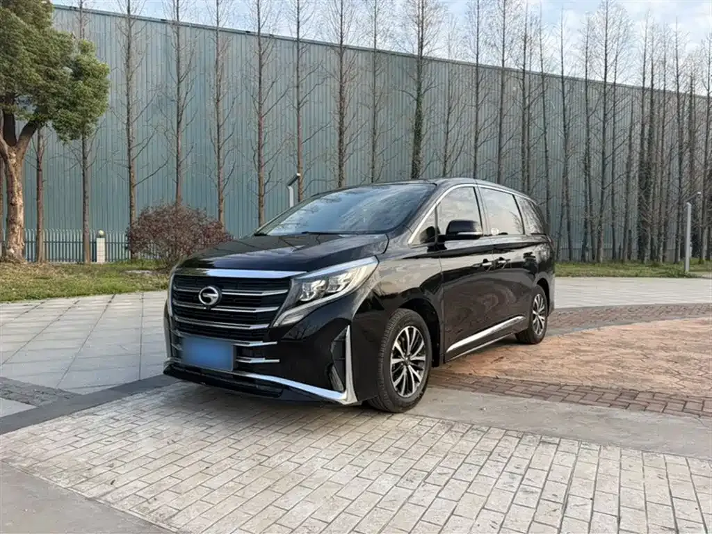 GAC Motor Trumpchi M8 2023 из CN, фото 10