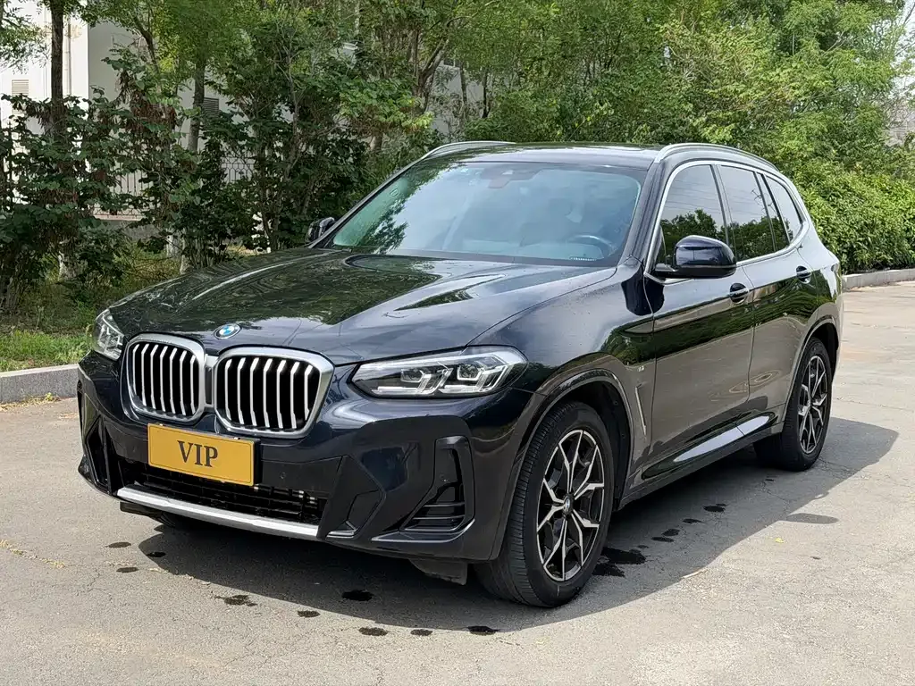 BMW X3 — фото 1