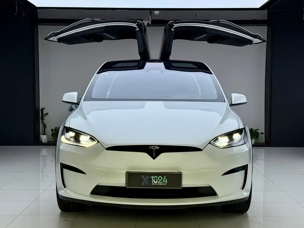 Tesla Model X 2023 из CN, фото 2