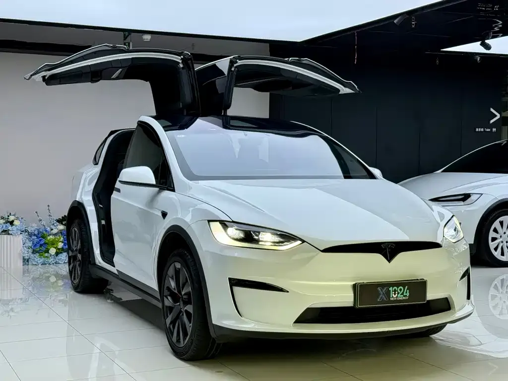 Tesla Model X 2023 из CN, фото 5