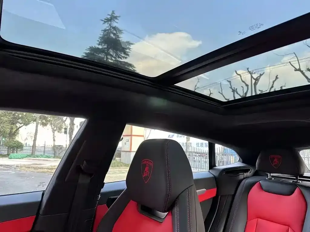 Lamborghini Urus — фото 6
