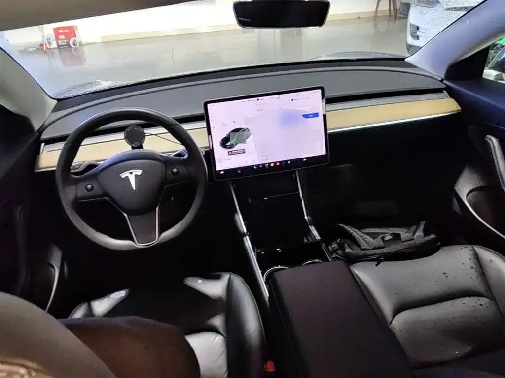 Tesla Model 3 2021 из CN, фото 6
