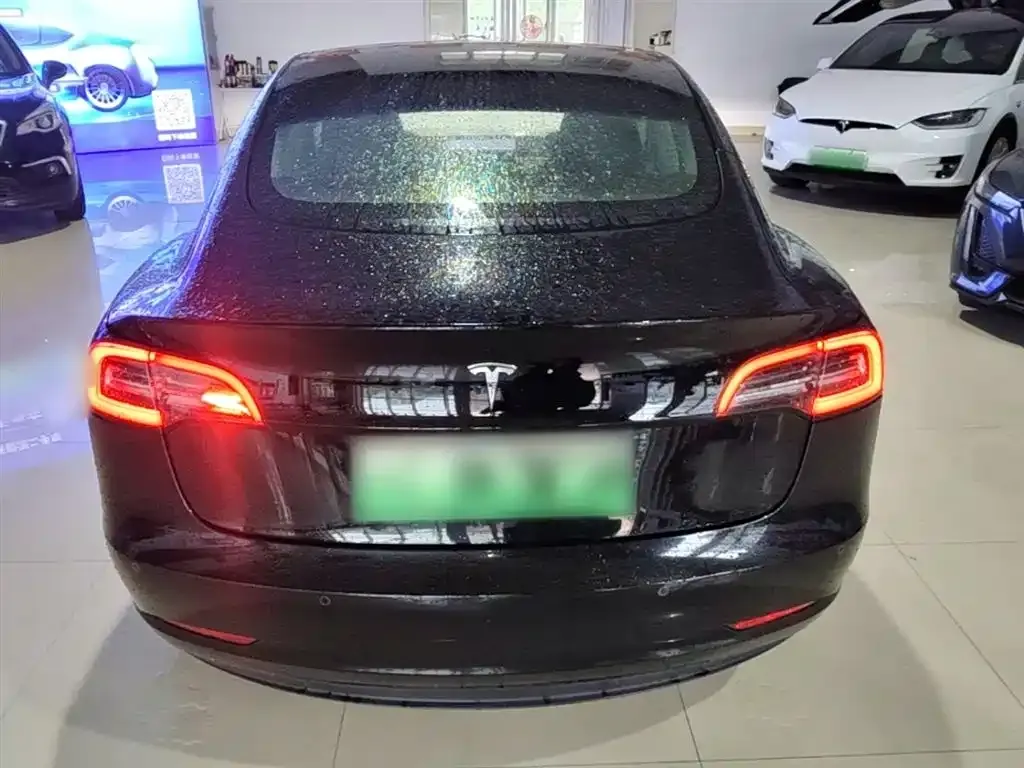 Tesla Model 3 2021 из CN, фото 5