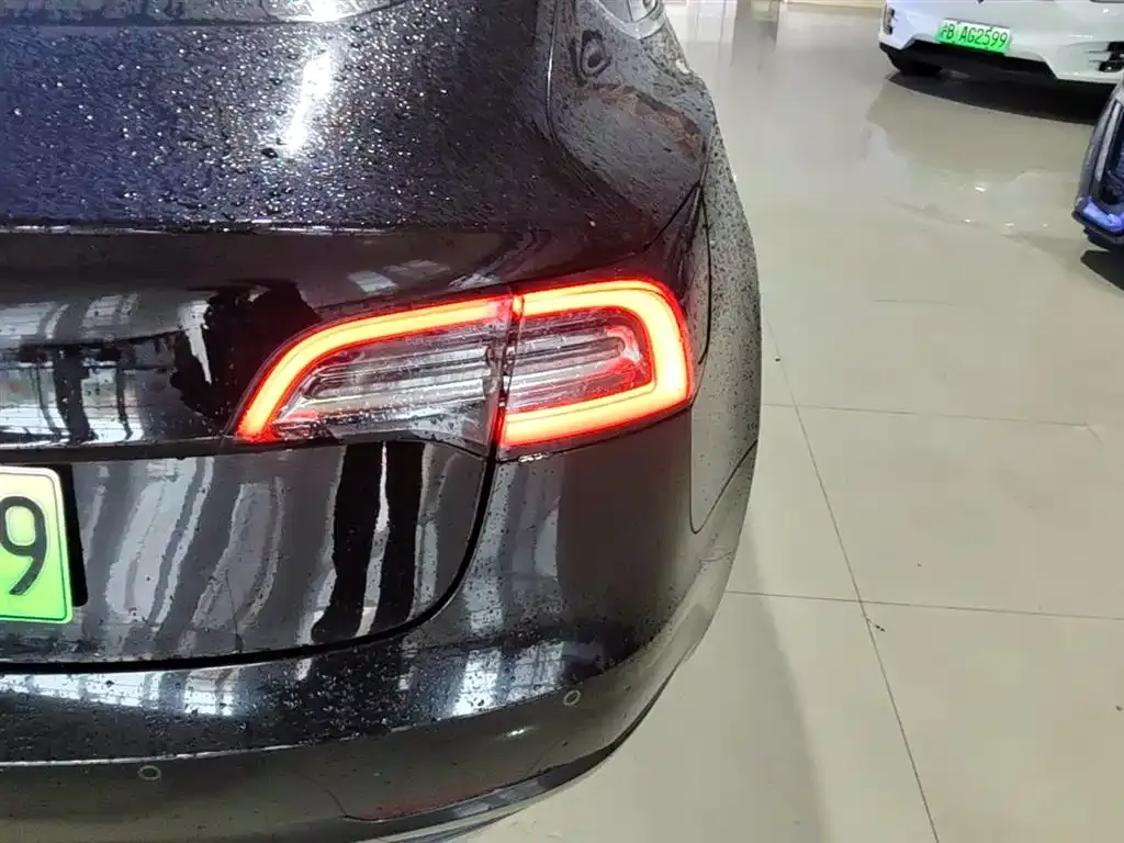 Tesla Model 3 2021 из CN, фото 2