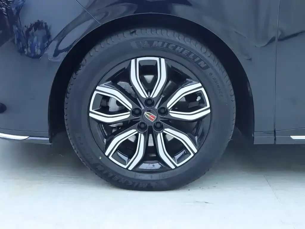 Hongqi HQ9 2023 из CN, фото 7