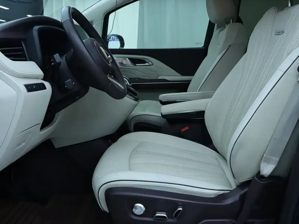 Hongqi HQ9 2023 из CN, фото 3
