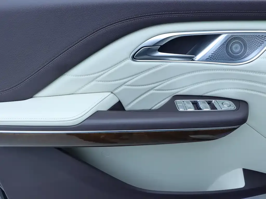 Hongqi HQ9 2023 из CN, фото 9