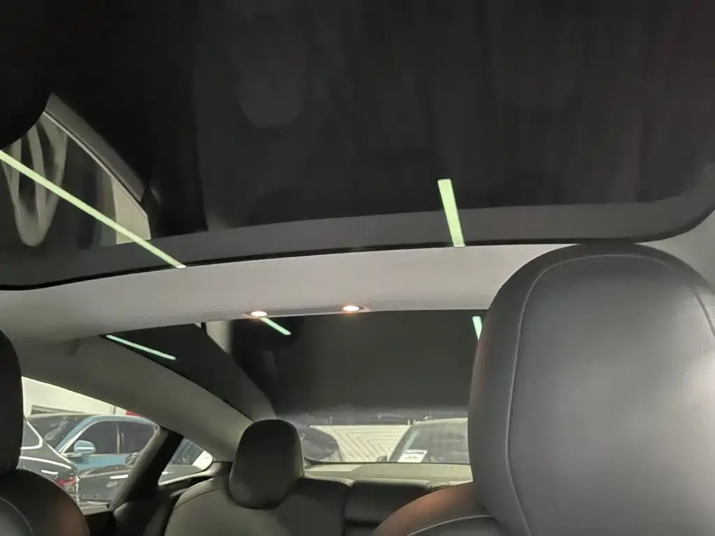 Tesla Model 3 2021 из CN, фото 5