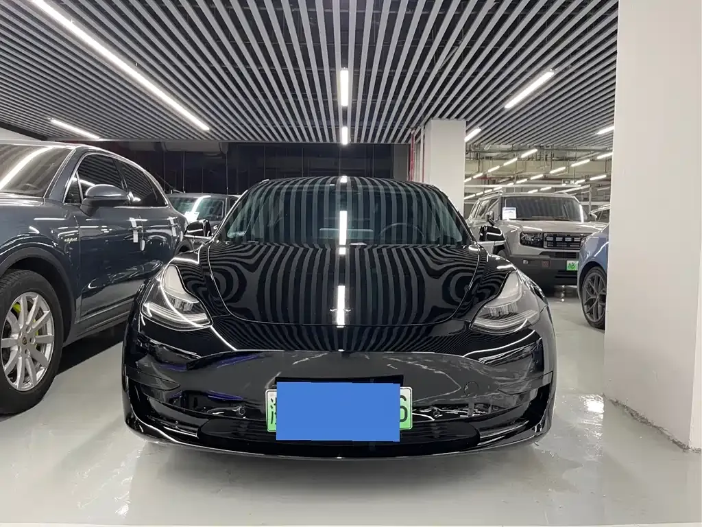 Tesla Model 3 2021 из CN, фото 10