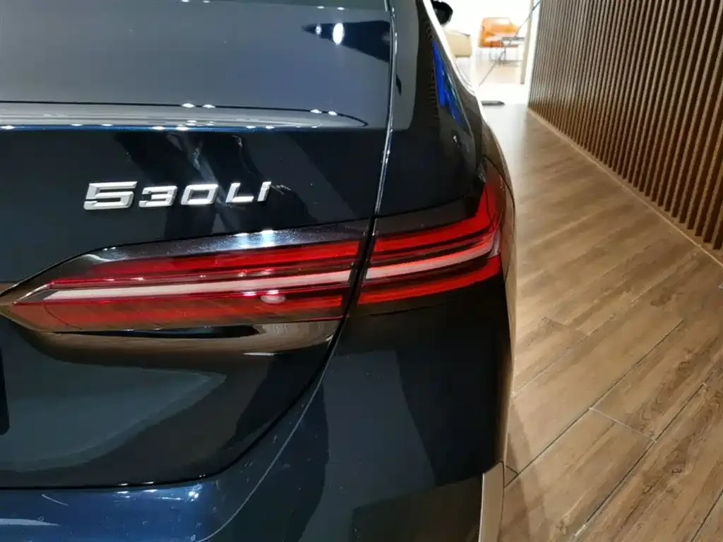 BMW 5 Series 2024 из CN, фото 3