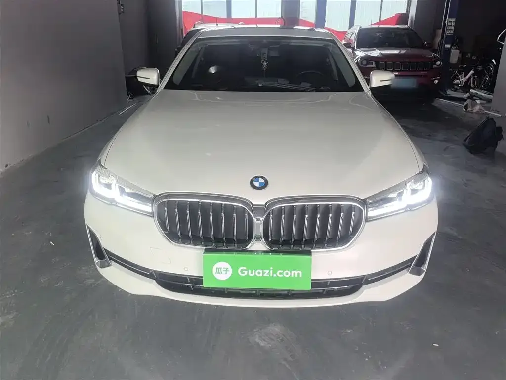 BMW 5 Series 2023 из CN, фото 4