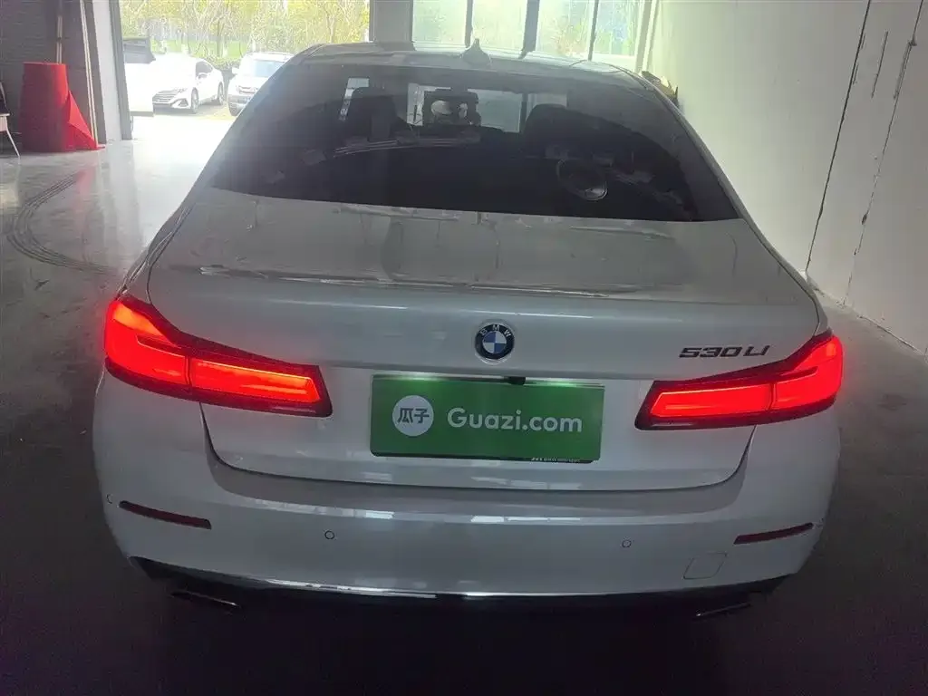 BMW 5 Series 2023 из CN, фото 8