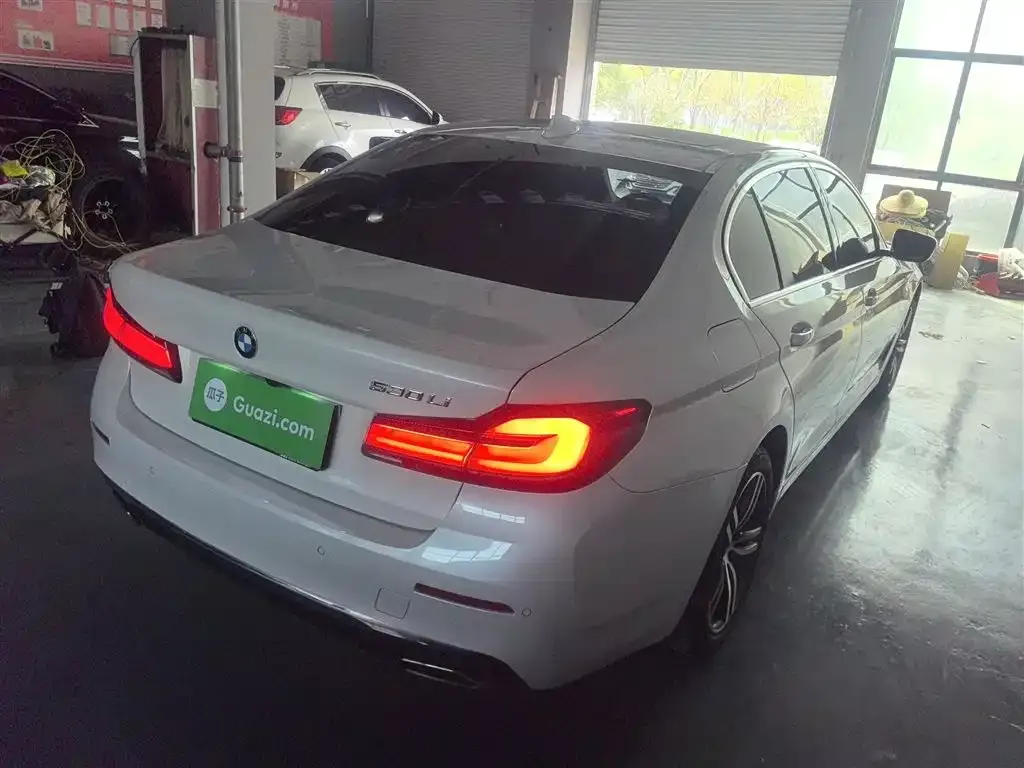 BMW 5 Series 2023 из CN, фото 10