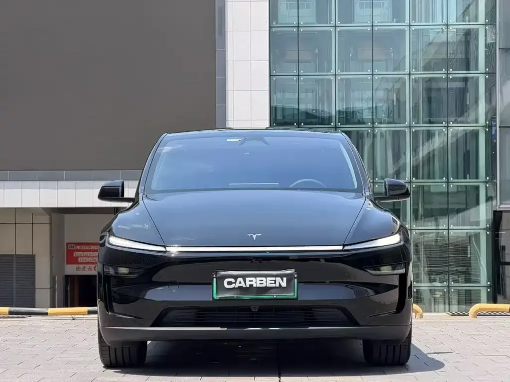 Tesla Model Y — фото 2