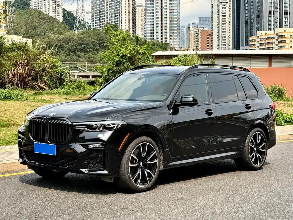 BMW X7 — фото 1