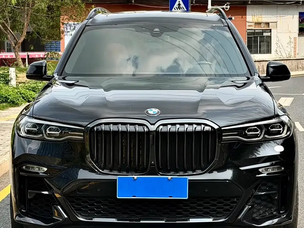 BMW X7 — фото 4